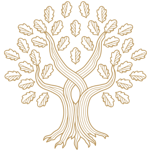 Logo Universidad